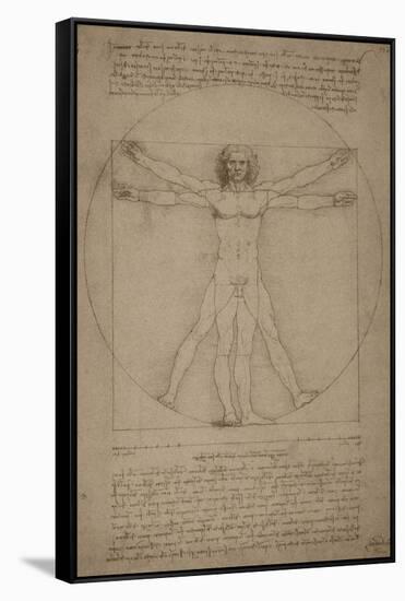 Leonardo Da Vinci's Vitruvian Man, Circa 1490-Stocktrek Images-Framed Stretched Canvas