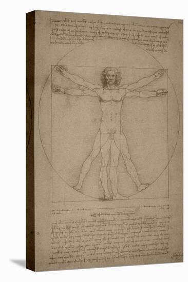 Leonardo Da Vinci's Vitruvian Man, Circa 1490-Stocktrek Images-Stretched Canvas