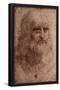 Leonardo Da Vinci (Self-Portrait) Art Poster Print-null-Framed Poster