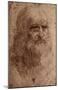 Leonardo Da Vinci (Self-Portrait) Art Poster Print-null-Mounted Poster