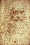 Vitruvian Man-Leonardo da Vinci-Laminated Art Print