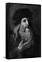 Leonardo Da Vinci Selfie Portrait-null-Framed Stretched Canvas