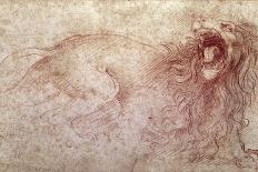 Portrait of a Lady with an Ermine-Leonardo da Vinci-Art Print