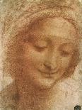 Sketch of a Roaring Lion-Leonardo da Vinci-Giclee Print