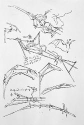 affordable sketches studies drawings