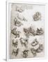 Gramercy White
