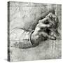 Stretched Canvas