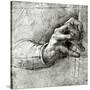 Stretched Canvas