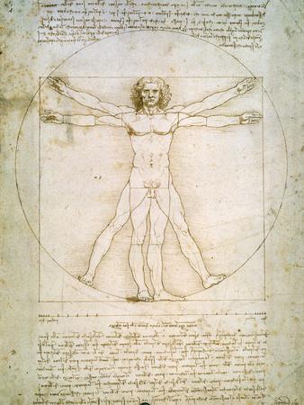 Vitruvian Man, c.1492