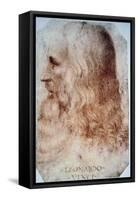 Leonardo Da Vinci-Leonardo da Vinci-Framed Stretched Canvas