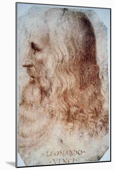 Leonardo Da Vinci-Leonardo da Vinci-Mounted Giclee Print