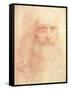 Leonardo da Vinci-null-Framed Stretched Canvas