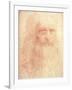 Leonardo da Vinci-null-Framed Art Print