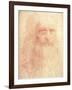 Leonardo da Vinci-null-Framed Art Print