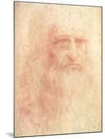 Leonardo da Vinci-null-Mounted Art Print