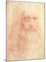 Leonardo da Vinci-null-Mounted Art Print