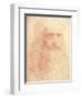 Leonardo da Vinci-null-Framed Art Print