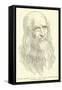 Leonardo Da Vinci-null-Framed Stretched Canvas