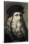 Leonardo da Vinci --Leonardo Da Vinci-Stretched Canvas