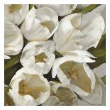 Bouquet Blanc-Leonardo Sanna-Art Print