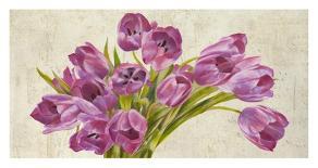 Tulipes blanches-Leonardo Sanna-Stretched Canvas