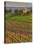 Leoness Cellars, Temecula, California, USA-Richard Duval-Stretched Canvas