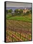 Leoness Cellars, Temecula, California, USA-Richard Duval-Framed Stretched Canvas