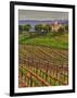 Leoness Cellars, Temecula, California, USA-Richard Duval-Framed Premium Photographic Print