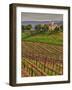 Leoness Cellars, Temecula, California, USA-Richard Duval-Framed Photographic Print