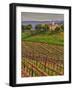 Leoness Cellars, Temecula, California, USA-Richard Duval-Framed Photographic Print