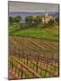 Leoness Cellars, Temecula, California, USA-Richard Duval-Mounted Photographic Print