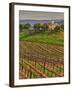 Leoness Cellars, Temecula, California, USA-Richard Duval-Framed Photographic Print