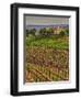 Leoness Cellars, Temecula, California, USA-Richard Duval-Framed Photographic Print