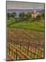 Leoness Cellars, Temecula, California, USA-Richard Duval-Mounted Photographic Print