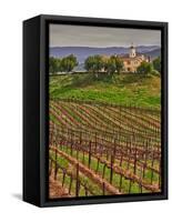 Leoness Cellars, Temecula, California, USA-Richard Duval-Framed Stretched Canvas