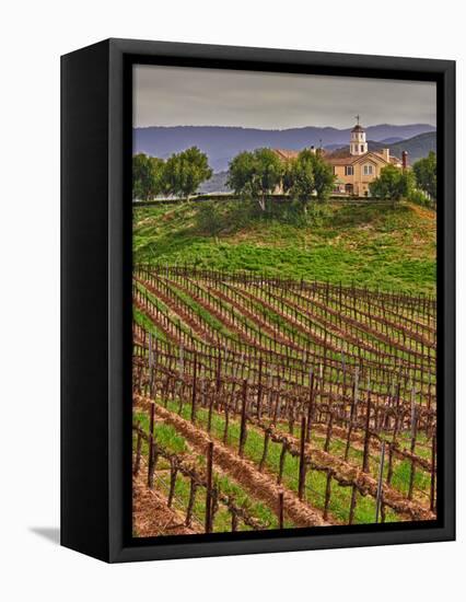 Leoness Cellars, Temecula, California, USA-Richard Duval-Framed Stretched Canvas