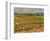 Leoness Cellars, Temecula, California, USA-Richard Duval-Framed Photographic Print