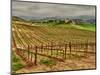 Leoness Cellars, Temecula, California, USA-Richard Duval-Mounted Photographic Print