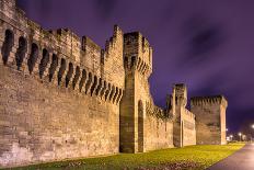 Defensive Walls of Avignon, A Unesco Heritage Site in France-Leonid Andronov-Photographic Print