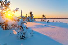 Winter Landscape. Sunset in the Winter Snow-Covered Park.-Leonid Ikan-Photographic Print