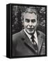 Leonid Ilyich Brezhnev Soviet Communist Leader-null-Framed Stretched Canvas