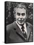 Leonid Ilyich Brezhnev Soviet Communist Leader-null-Framed Stretched Canvas