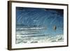 Leonid Meteor Shower, 1870-null-Framed Giclee Print