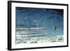 Leonid Meteor Shower, 1870-null-Framed Giclee Print