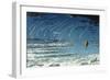 Leonid Meteor Shower, 1870-null-Framed Giclee Print