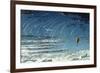 Leonid Meteor Shower, 1870-null-Framed Premium Giclee Print