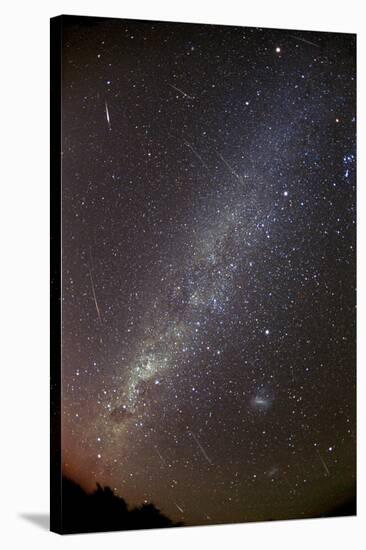 Leonid Meteors-Dr. Fred Espenak-Stretched Canvas