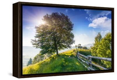 Beautiful Sunny Day is in Mountain Landscape. Carpathian, Ukraine