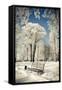 Canvas Black