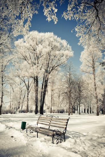 Premium Photographic Print, , large